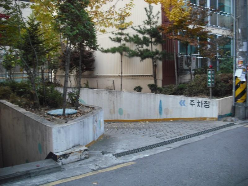 DSCF0504