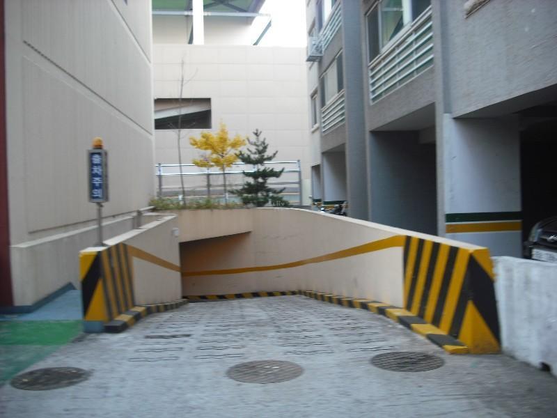 DSCF0509