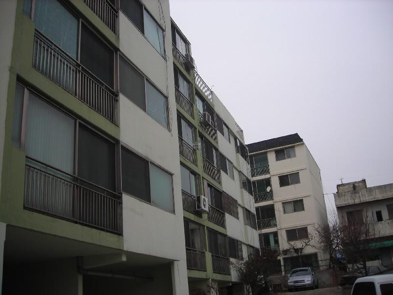 DSCN6061