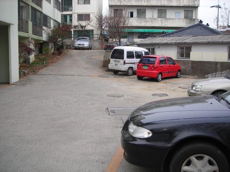 DSCN6063