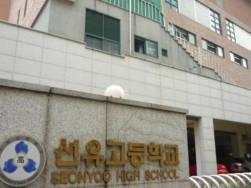 선유고