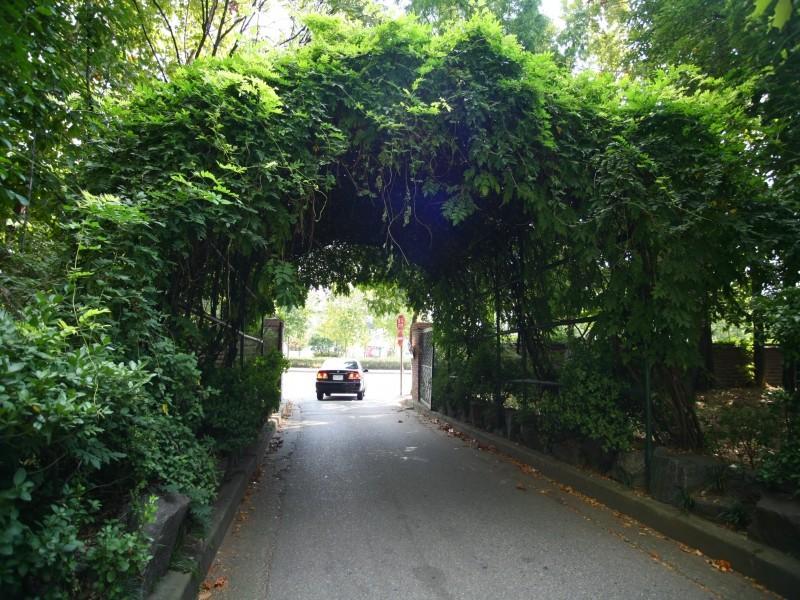 부출입구1