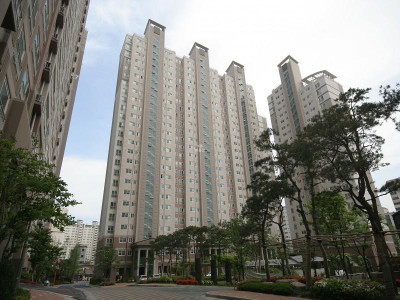 303동