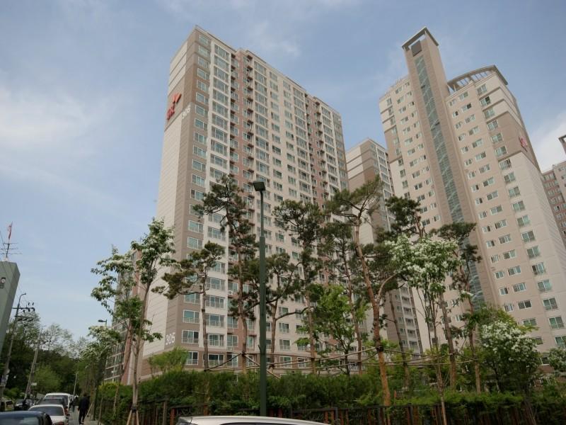 305동