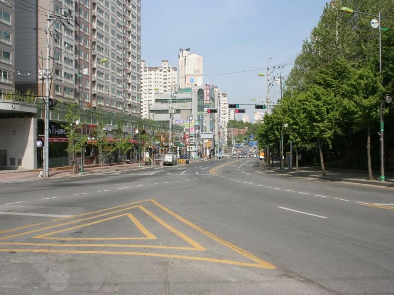단지앞도로(행신로)