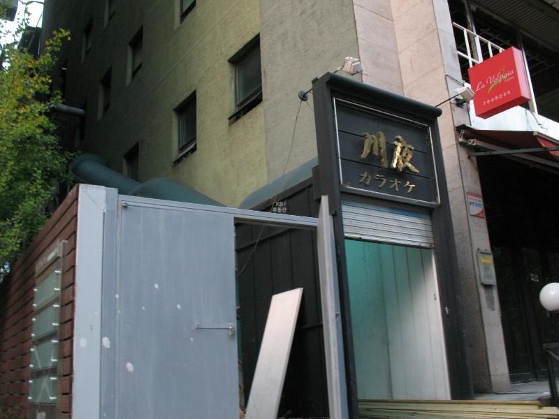 사진 559