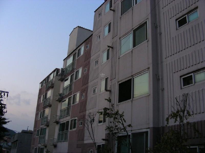 DSCN6394