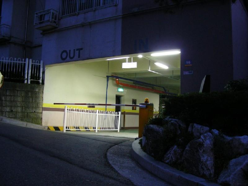 DSCN6399