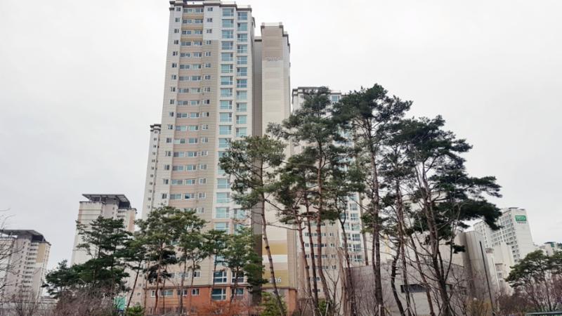 백현마을2단지 아파트 전경이에요