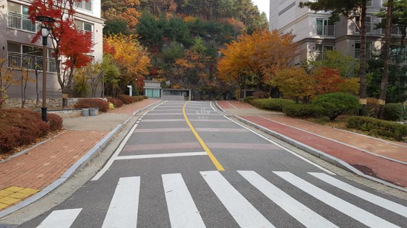 단지를 관통하여 이어져 있는 단지 내 도로에요