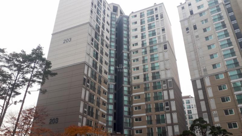 동간 거리가 넓어 쾌적한 단지 내 전경이에요
