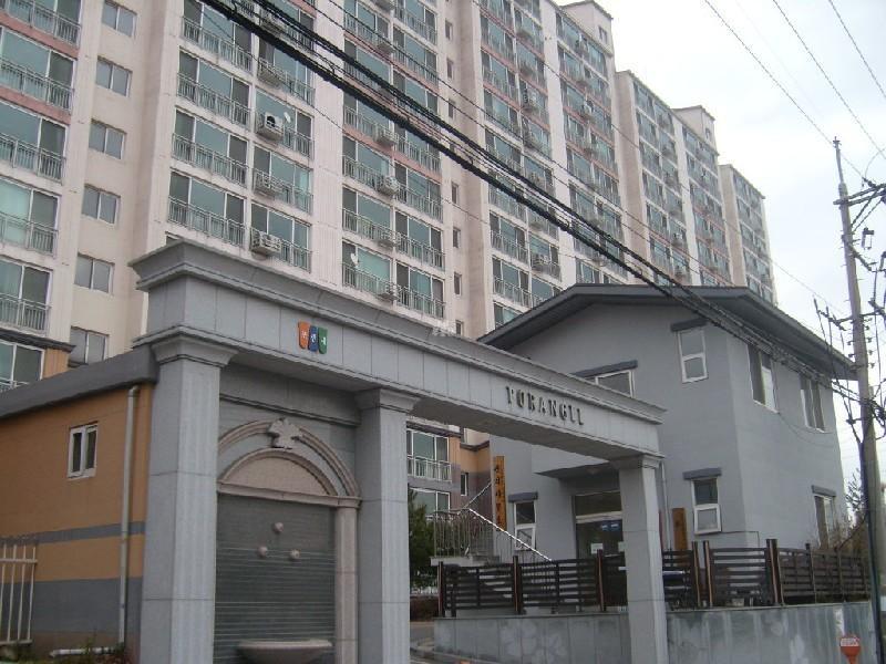 사진 207