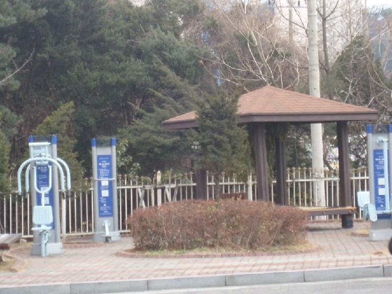 사진 210