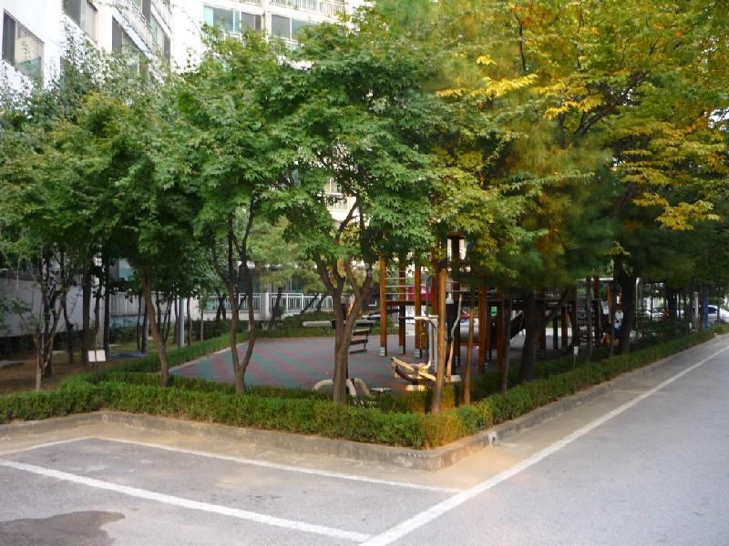 P1050719