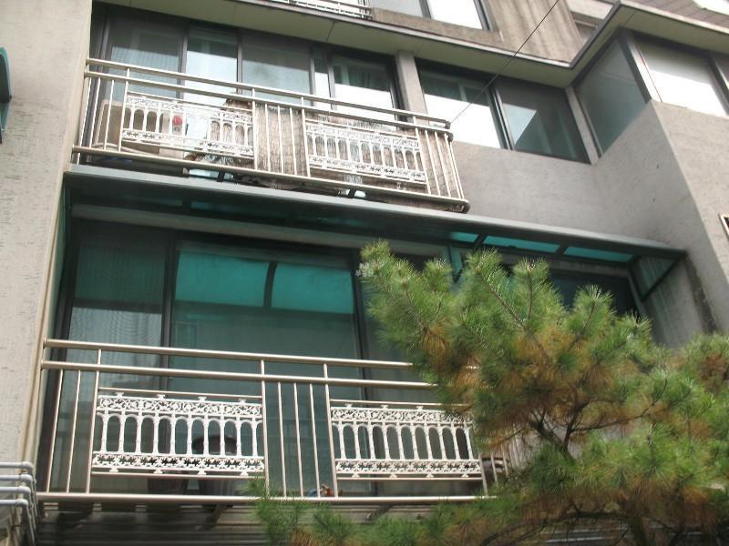사진 217