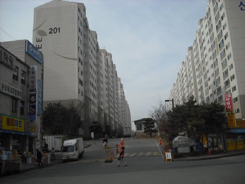 수정_DSCF1538