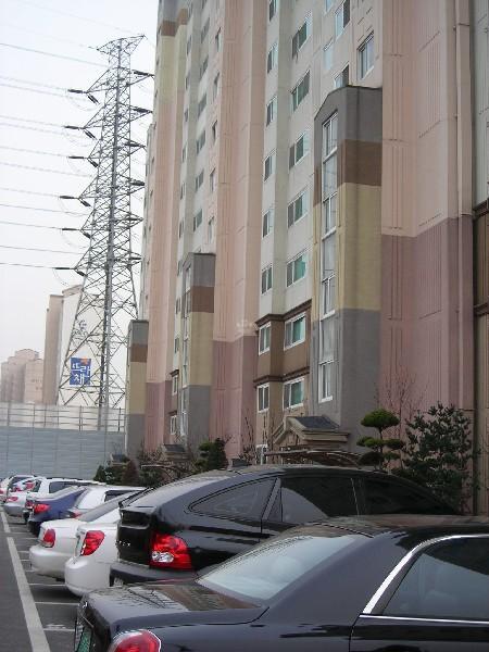 DSCN8719
