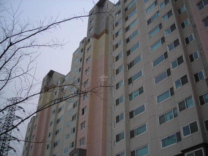 DSCN8721