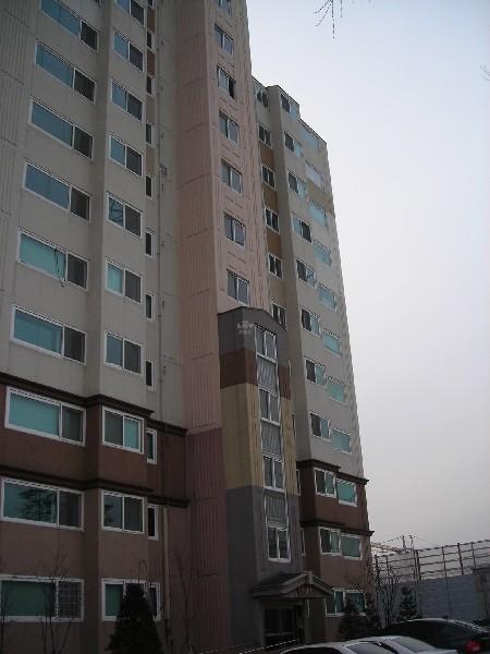 DSCN8725