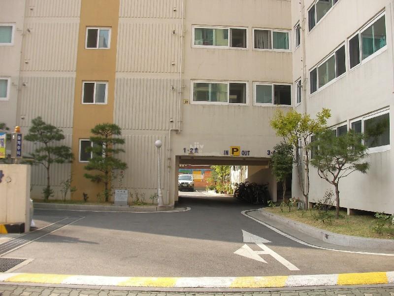 SANY0255