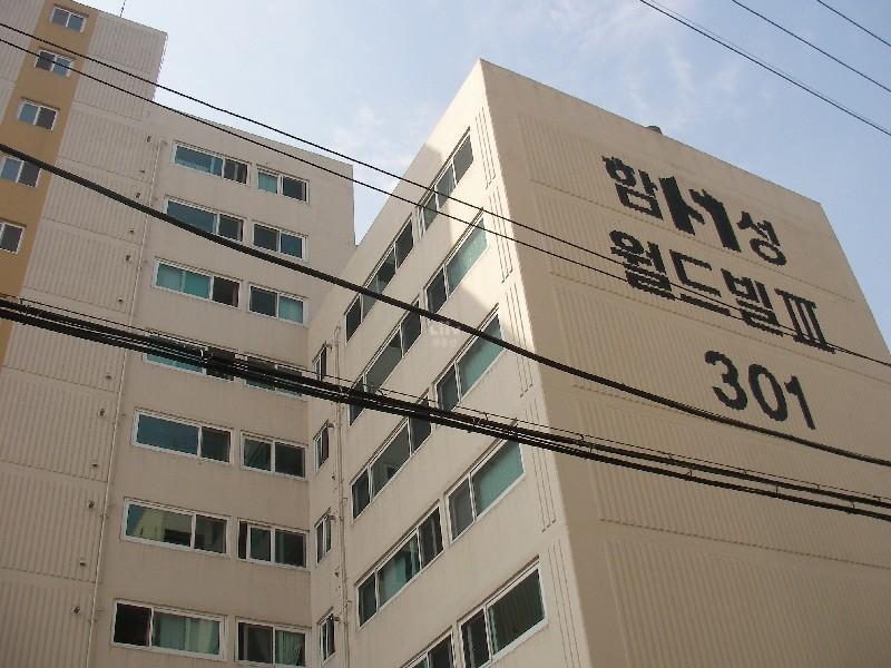 SANY0253