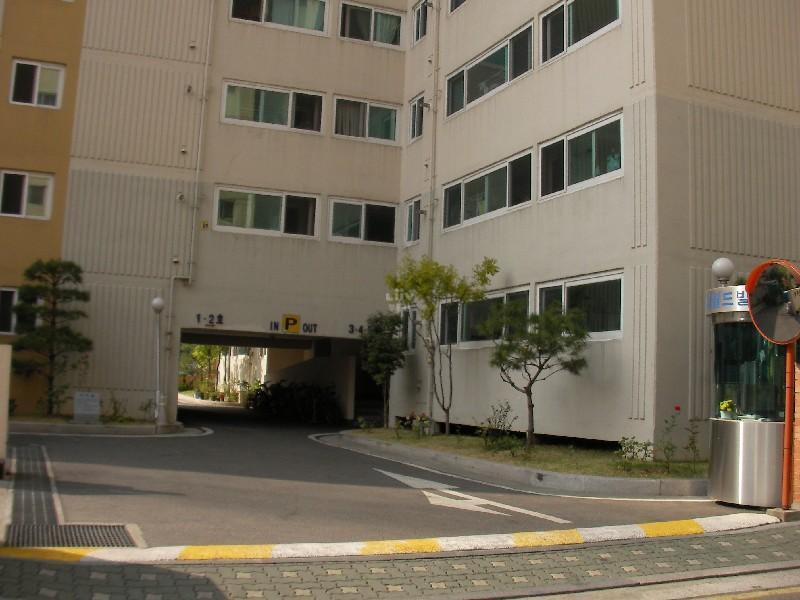 SANY0252