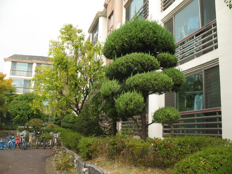 양지건영3단지_단지사진_단지기본