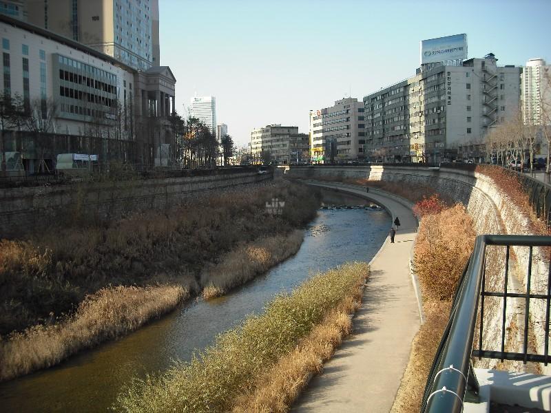 DSCF0830
