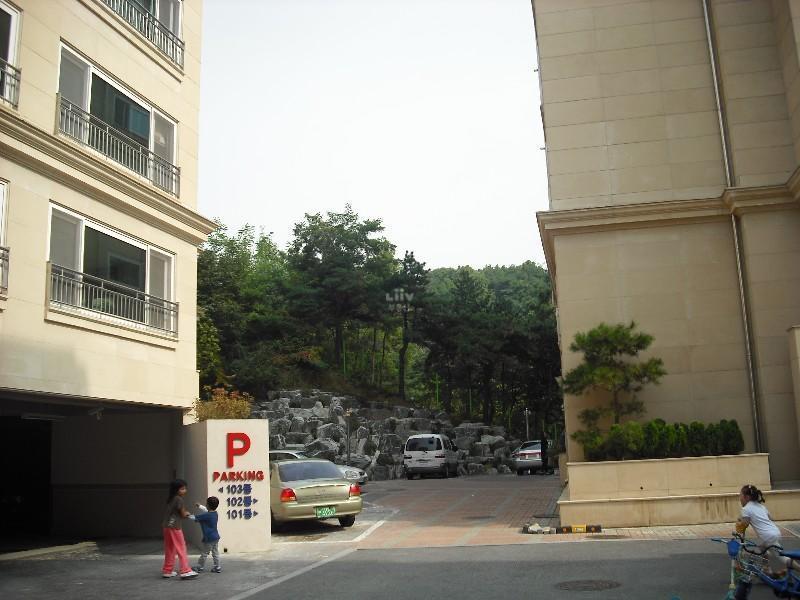 DSCF0735