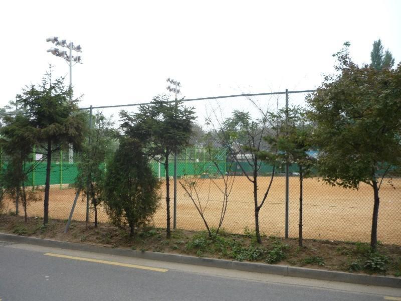 P1050426
