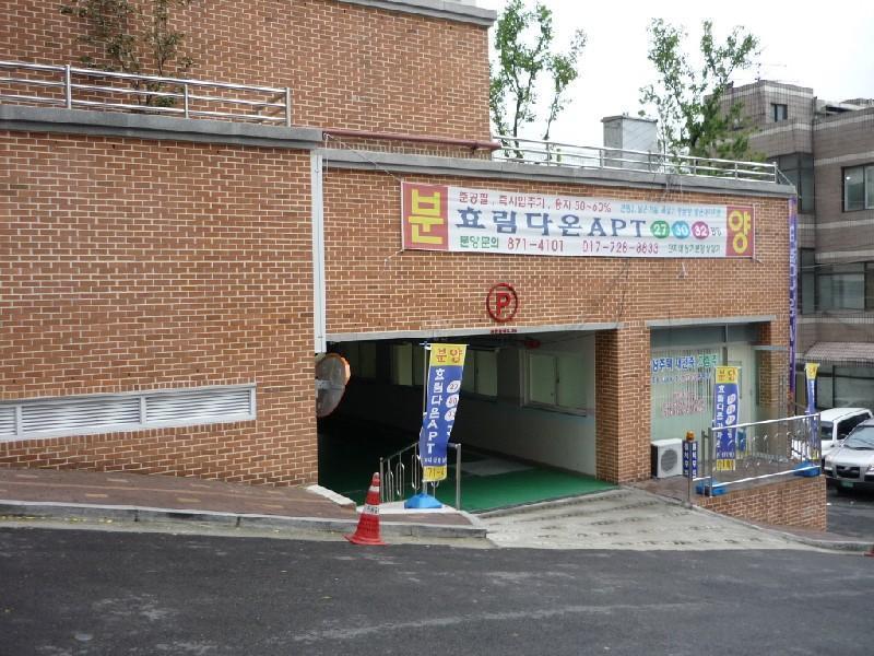 P1010141
