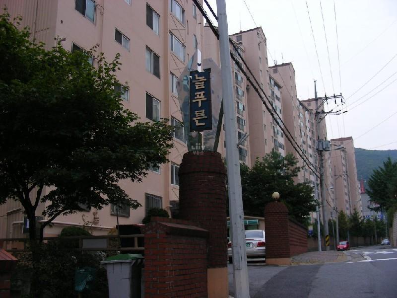 DSCN6721