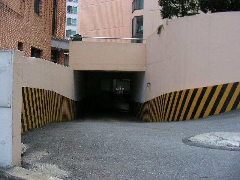 DSCN6719