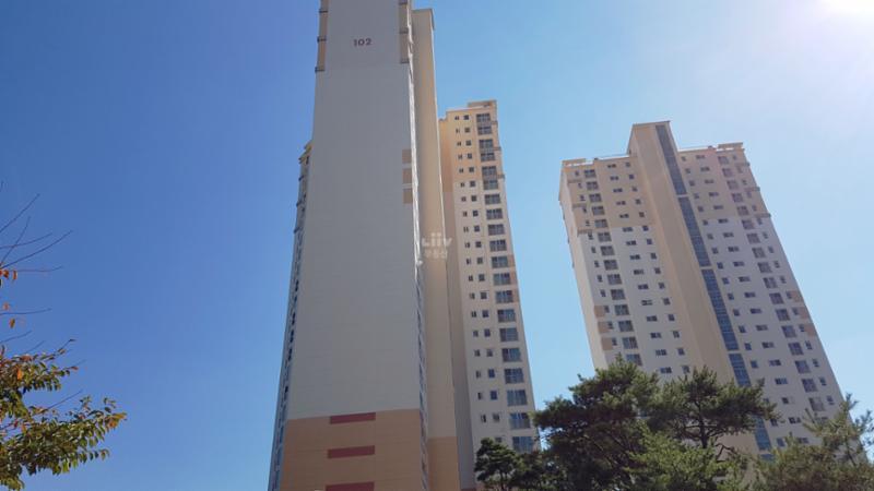 단지 주변으로 숙지산과 숙지공원이 인접해 있어 산책 및 여가활동을 즐기기에 좋아요