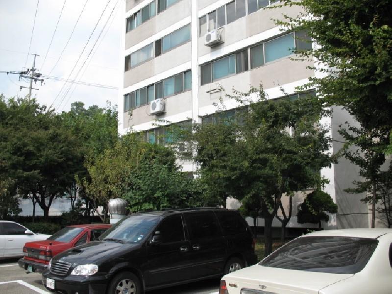 사진 271