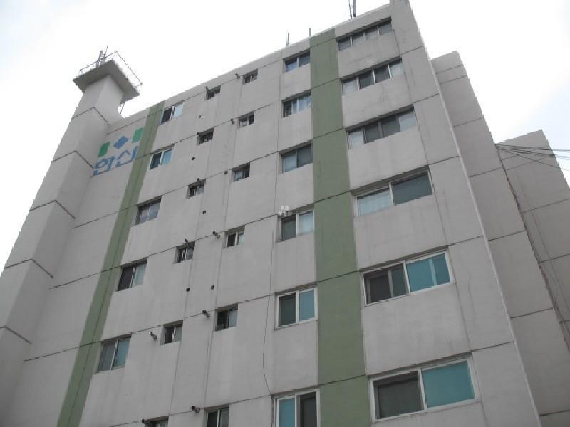 사진 245