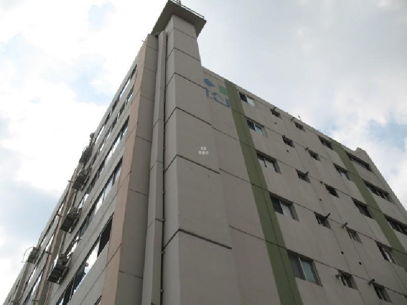 사진 247
