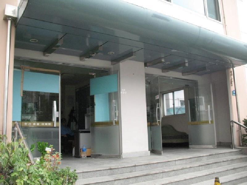 사진 250