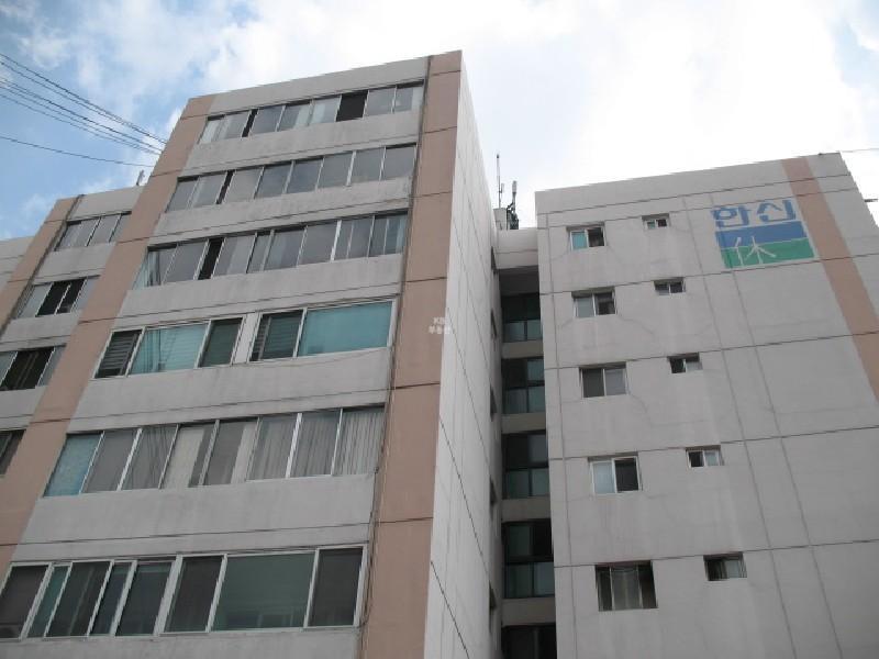 사진 251