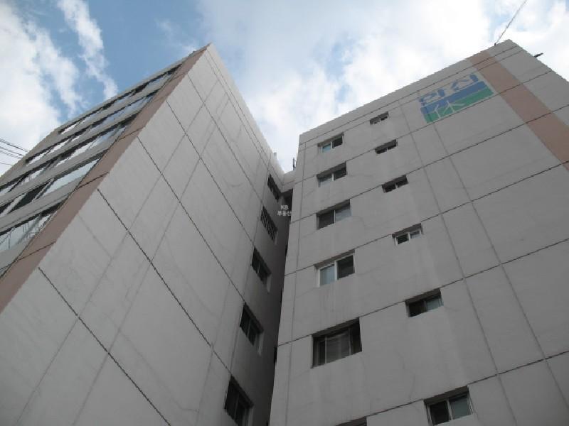 사진 252
