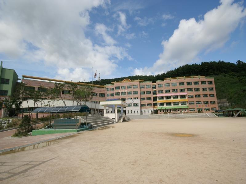 신일초교