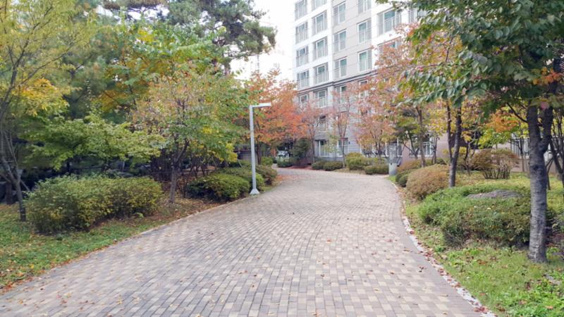 차선 없는 단지 내 도로 모습이에요