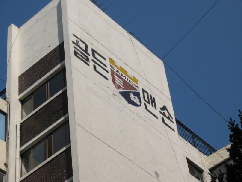 사진 117