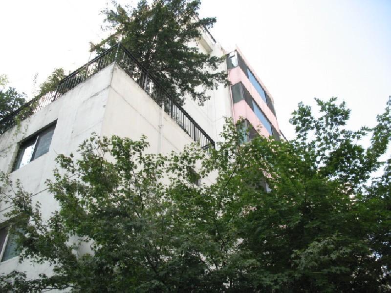 사진 125