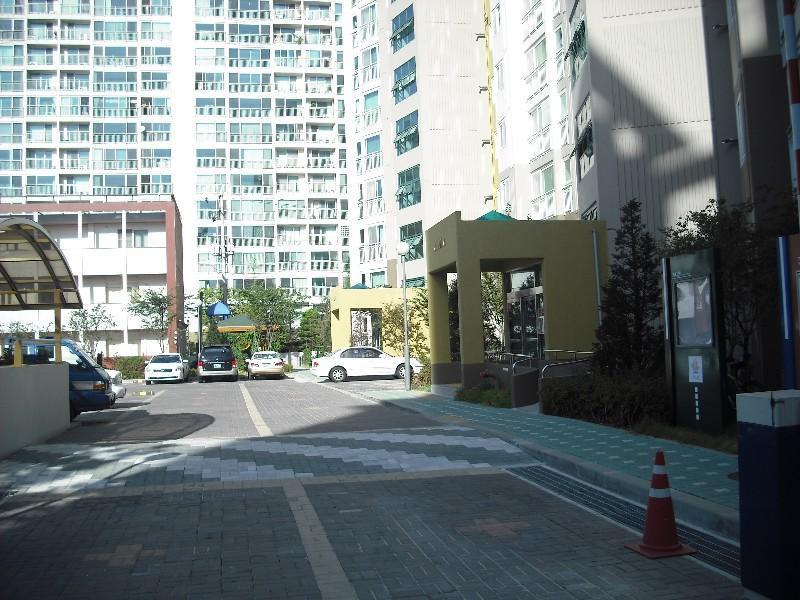 DSCF0599
