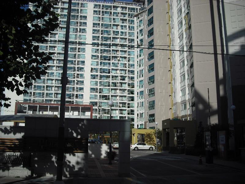 DSCF0596