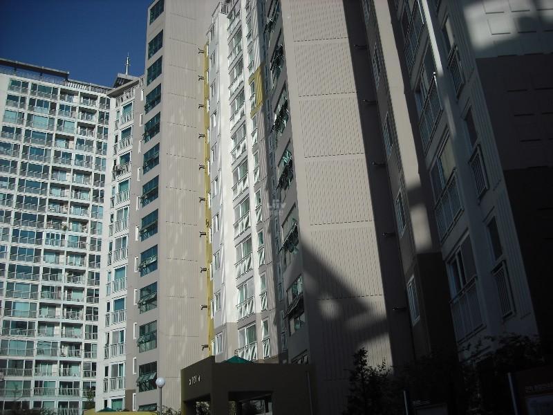 DSCF0601