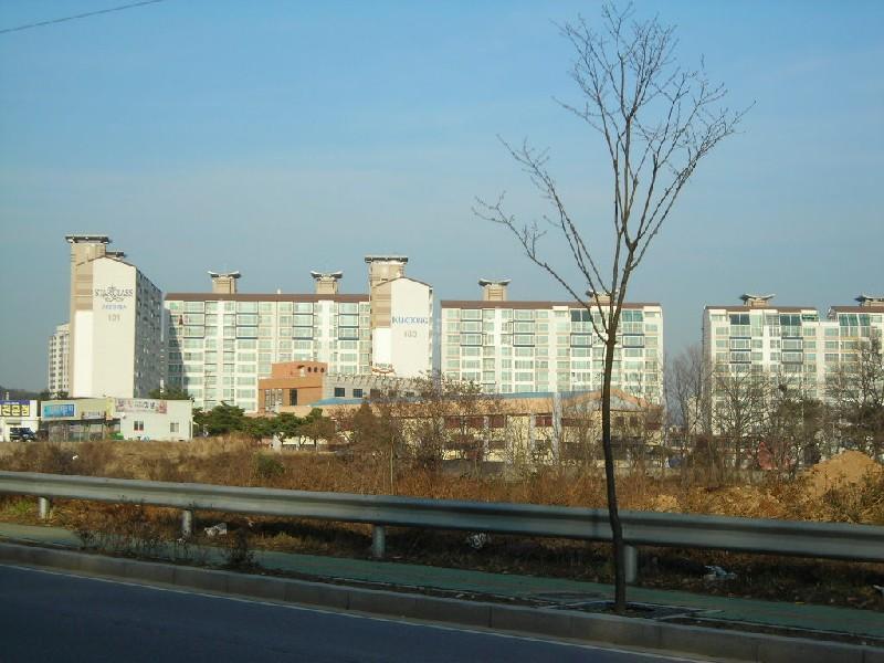 DSCN8539