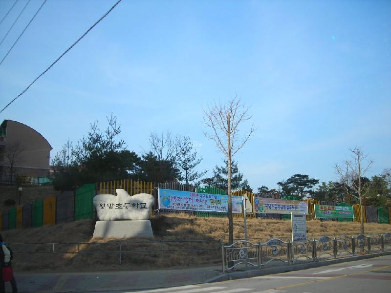왕방초교