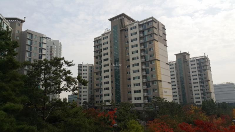 내부에서 바라본 중흥S클래스 2단지 전경 입니다